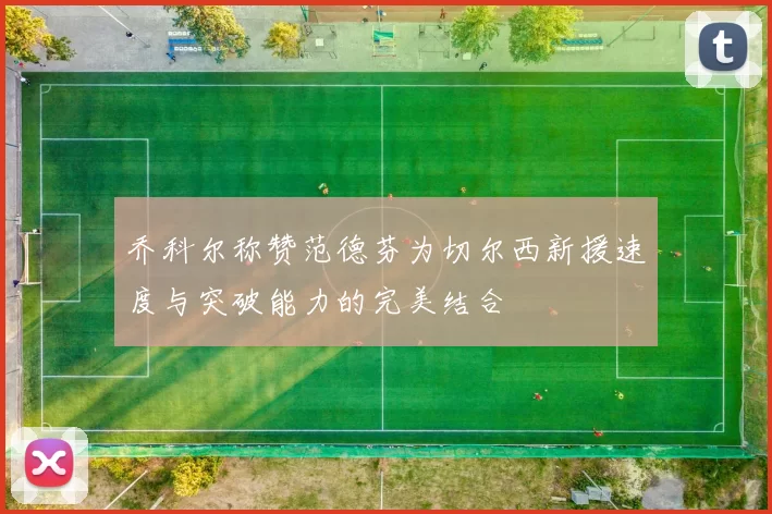 乔科尔称赞范德芬为切尔西新援速度与突破能力的完美结合
