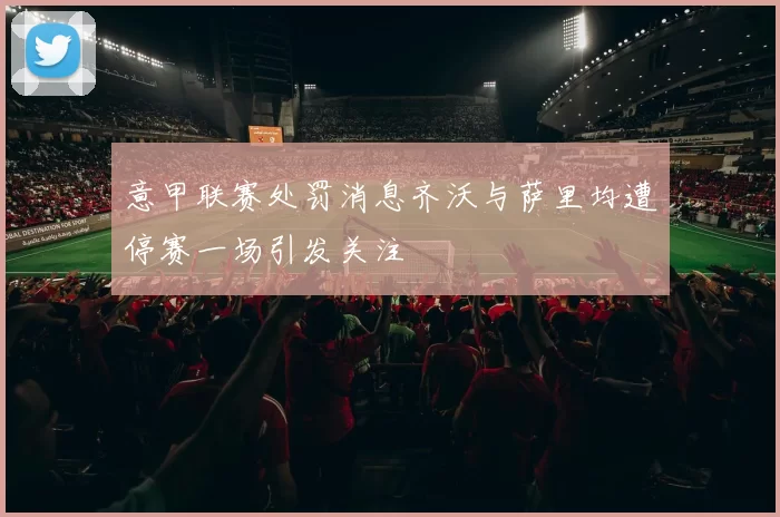 意甲联赛处罚消息齐沃与萨里均遭停赛一场引发关注